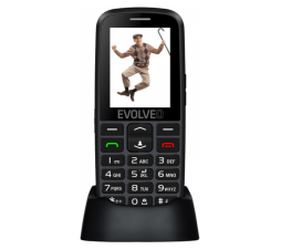 Slika izdelka: EVOLVEO Easyphone EG telefon za starejše z GPS sledilnikom - črno srebrn 