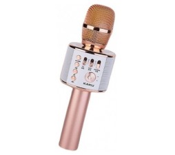 Slika 2 izdelka: KAKU brezžični karaoke mikrofon